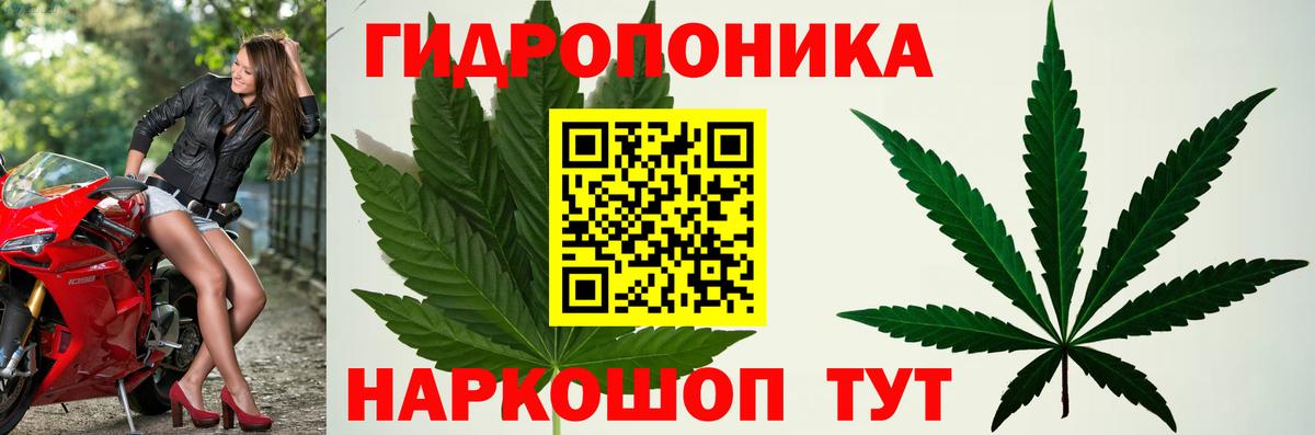 Каннабис Amnesia  Шишки марихуана тримм  Лесозаводск  Вход с VPN  Каннабис тримм 